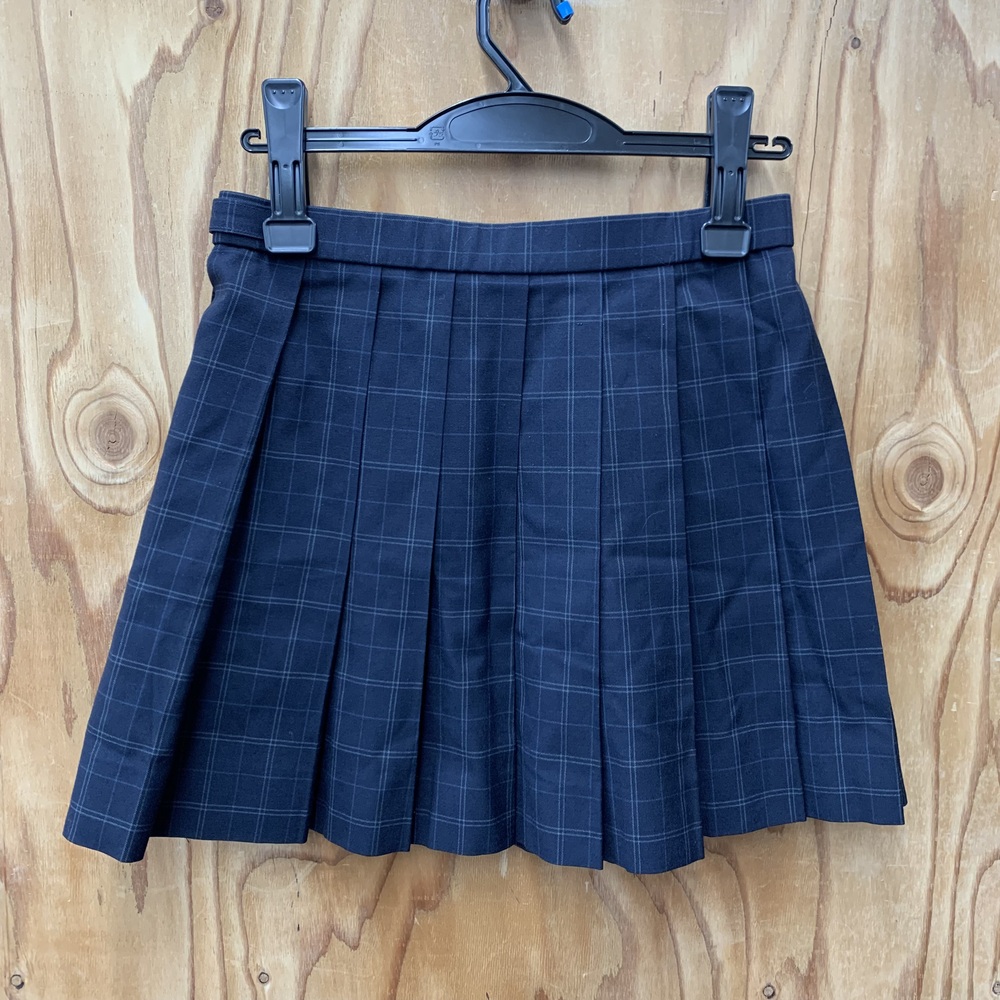 千葉県 千葉経済大学附属高等学校 女子 制服 スカート