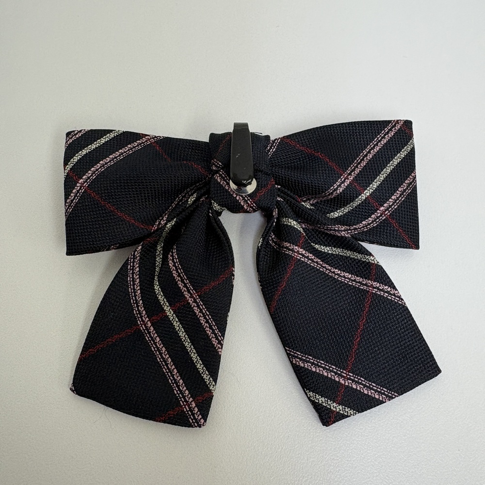 山梨県 学校法人帝京大学帝京第三高等学校 女子 スクール リボン